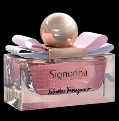 Signorina 3D packshot